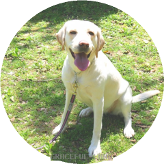 いつもニコニコ笑顔